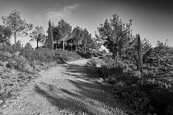 Les Baux de Provence<br>LEICA Q3, 28 mm, 160 ISO,  1/500 sec,  f : 5.6 