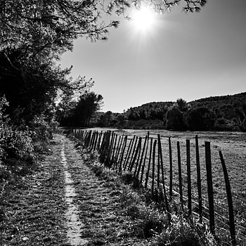 Les Alpilles<br>LEICA Q3, 28 mm, 100 ISO,  1/500 sec,  f : 5.6 