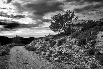 Dans les Alpilles<br>LEICA Q3, 28 mm, 200 ISO,  1/1000 sec,  f : 5.6 