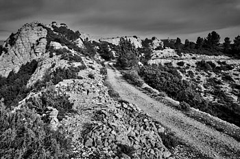 Dans les Alpilles<br>LEICA Q3, 28 mm, 400 ISO,  1/1000 sec,  f : 5.6 