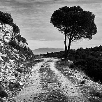 Dans les Alpilles<br>LEICA Q3, 28 mm, 100 ISO,  1/400 sec,  f : 5.6 