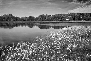 Etang purais en Brenne<br>LEICA Q3, 28 mm, 100 ISO,  1/3200 sec,  f : 5.6 