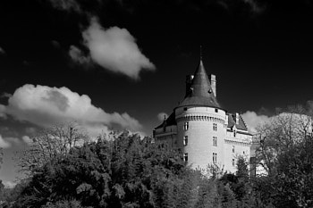 Verneuil-sur-Indre<br>LEICA Q3, 28 mm, 100 ISO,  1/1000 sec,  f : 5.6 