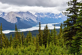 Lac Maligne<br>NIKON Df, 70 mm, 450 ISO,  1/125 sec,  f : 16 