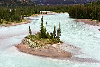 Riviere Athabasca<br>NIKON Df, 70 mm, 250 ISO,  1/125 sec,  f : 11 