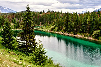 Vallée des Cinq Lacs, prés de Jasper<br>NIKON Df, 52 mm, 400 ISO,  1/250 sec,  f : 9 