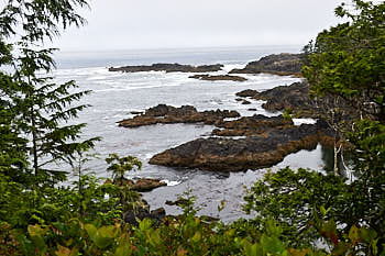 Cote pacifique de l'ile de Vancouver<br>NIKON Df, 38 mm, 250 ISO,  1/250 sec,  f : 9 