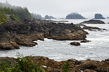 Cote pacifique de l'ile de Vancouver<br>NIKON Df, 98 mm, 360 ISO,  1/500 sec,  f : 11 