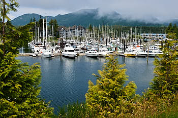 Le port de Ucluelet sur l'ile de Vancouver<br>NIKON Df, 45 mm, 180 ISO,  1/250 sec,  f : 11 