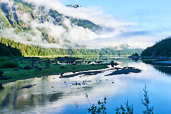 Strathcona parc, ile de Vancouver<br>NIKON Df, 44 mm, 450 ISO,  1/250 sec,  f : 11 