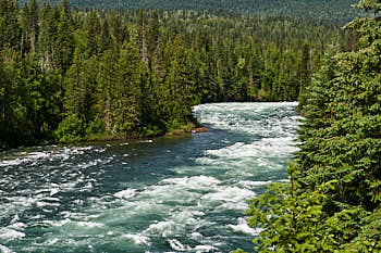 Wells Gray Murtle River<br>NIKON Df, 70 mm, 140 ISO,  1/250 sec,  f : 8 