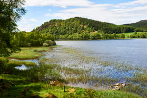 Loch Ruthven<br>NIKON Df, 38 mm, 140 ISO,  1/125 sec,  f : 11 