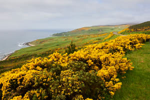 Cote Est de l'Ecosse<br>NIKON Df, 24 mm, 450 ISO,  1/250 sec,  f : 16 