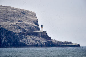 Ile de Bass rock<br>NIKON D4, 850 mm, 1600 ISO,  1/4000 sec,  f : 8 