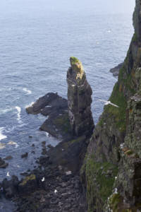 Ile de Handa<br>NIKON D4, 70 mm, 220 ISO,  1/160 sec,  f : 11 