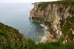 Bempton head (Angleterre)<br>NIKON D4, 38 mm, 900 ISO,  1/50 sec,  f : 8 