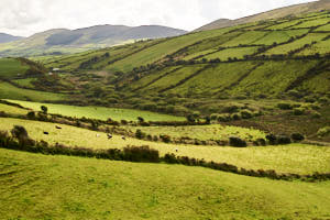 Irlande<br>NIKON D700, 50 mm, 200 ISO,  1/320 sec,  f : 8 