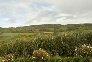 Irlande<br>NIKON D200, 20 mm, 200 ISO,  1/60 sec,  f : 8 