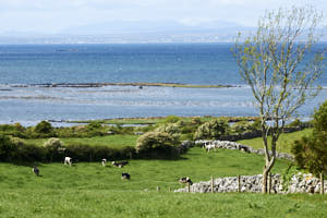 Irlande<br>NIKON D700, 220 mm, 200 ISO,  1/500 sec,  f : 8 