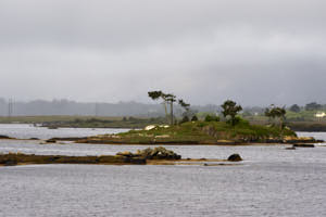 Irlande<br>NIKON D700, 240 mm, 200 ISO,  1/500 sec,  f : 8 