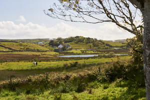 Irlande<br>NIKON D700, 85 mm, 200 ISO,  1/400 sec,  f : 8 