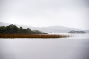 Irlande<br>NIKON D700, 200 mm, 200 ISO,  1/250 sec,  f : 5.6 