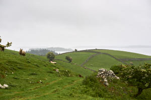 Irlande<br>NIKON D700, 92 mm, 200 ISO,  1/160 sec,  f : 5.6 