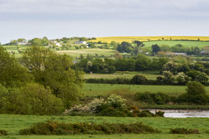 Irlande<br>NIKON D700, 250 mm, 800 ISO,  1/1000 sec,  f : 8 