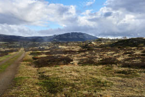 le parc national de Dovrefjell<br>NIKON Df, 34 mm, 160 ISO,  1/125 sec,  f : 11 