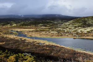 le parc national de Dovrefjell<br>NIKON Df, 35 mm, 180 ISO,  1/125 sec,  f : 11 