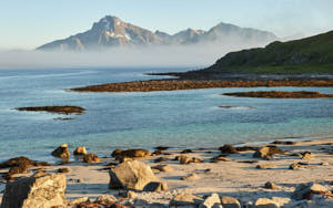 La plage d'Aukland<br>NIKON Df, 48 mm, 560 ISO,  1/250 sec,  f : 13 