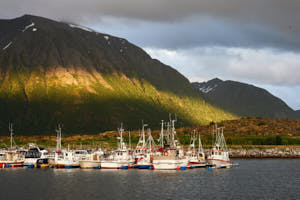 Port de Laukvik<br>NIKON Df, 92 mm, 1800 ISO,  1/250 sec,  f : 11 