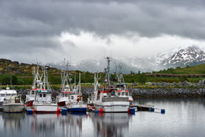 Port de Laukvik<br>NIKON Df, 125 mm, 560 ISO,  1/250 sec,  f : 11 