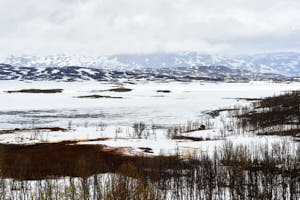 Dans les environs de Narvik<br>NIKON Df, 70 mm, 160 ISO,  1/250 sec,  f : 11 